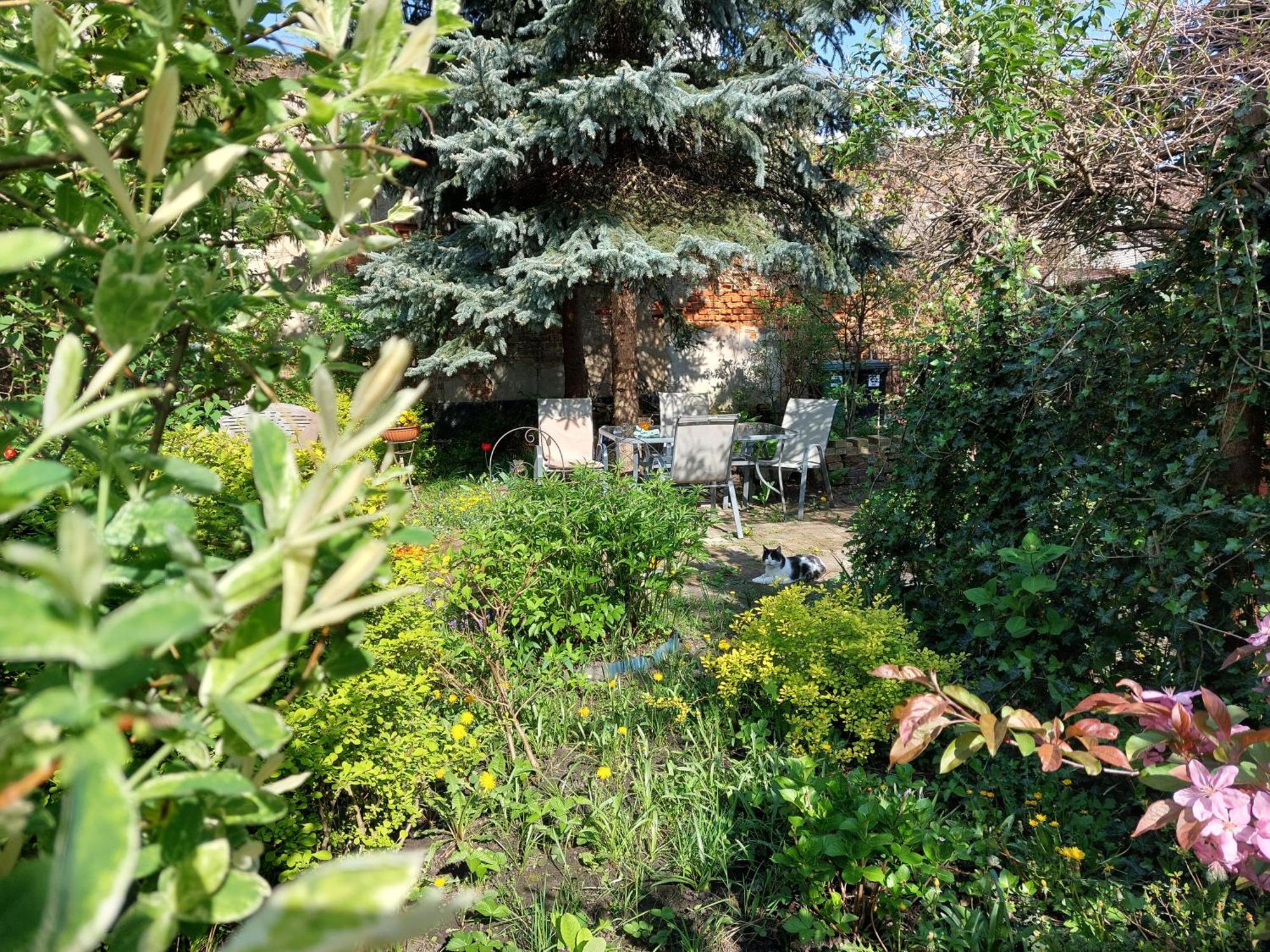 Apartament Różana Przy Ice Kraków
